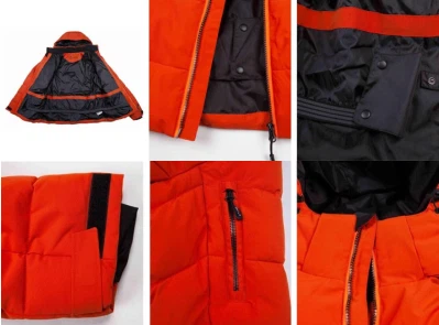 info-399-295